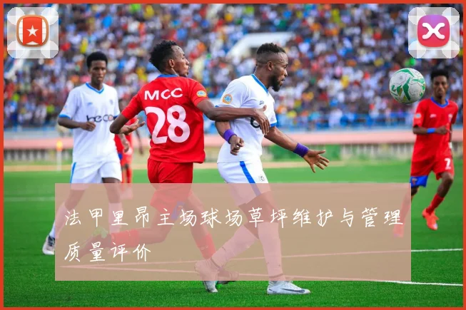 法甲里昂主场球场草坪维护与管理质量评价