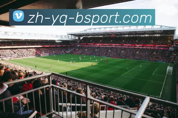 必一体育官方网站品牌故事